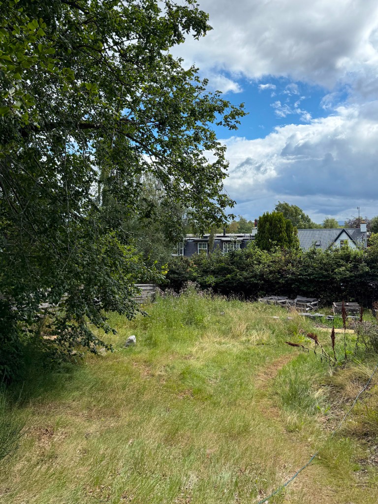 The plot — garden