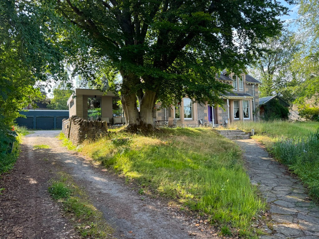 The plot — the house